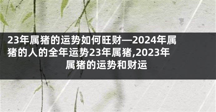 23年属猪的运势如何旺财—2024年属猪的人的全年运势23年属猪,2023年属猪的运势和财运