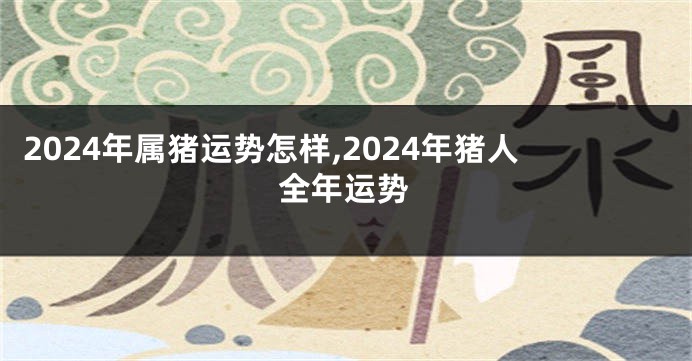 2024年属猪运势怎样,2024年猪人全年运势