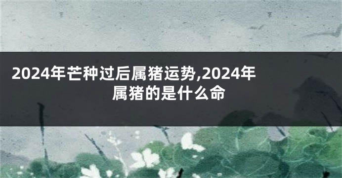 2024年芒种过后属猪运势,2024年属猪的是什么命
