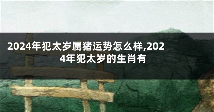 2024年犯太岁属猪运势怎么样,2024年犯太岁的生肖有