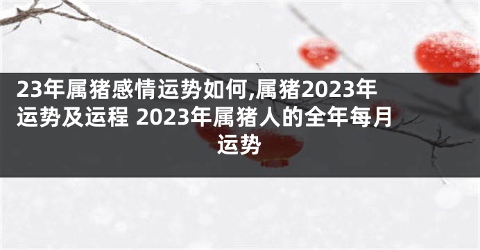 23年属猪感情运势如何,属猪2023年运势及运程 2023年属猪人的全年每月运势