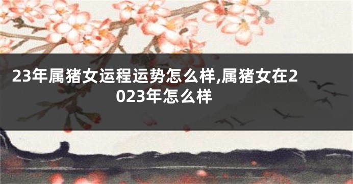 23年属猪女运程运势怎么样,属猪女在2023年怎么样