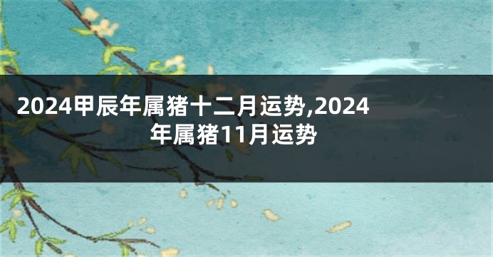 2024甲辰年属猪十二月运势,2024年属猪11月运势