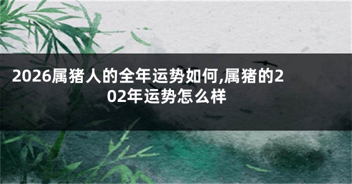 2026属猪人的全年运势如何,属猪的202年运势怎么样