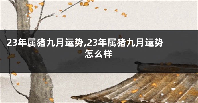 23年属猪九月运势,23年属猪九月运势怎么样