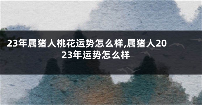 23年属猪人桃花运势怎么样,属猪人2023年运势怎么样