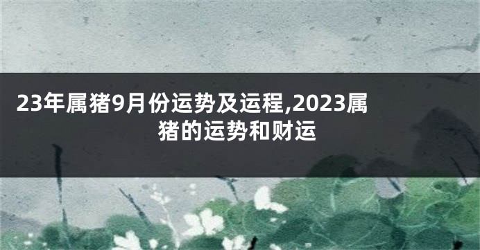 23年属猪9月份运势及运程,2023属猪的运势和财运