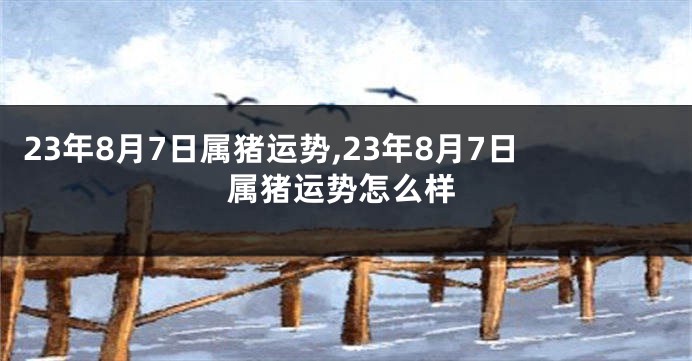 23年8月7日属猪运势,23年8月7日属猪运势怎么样
