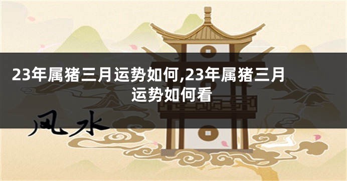 23年属猪三月运势如何,23年属猪三月运势如何看