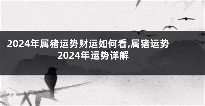 2024年属猪运势财运如何看,属猪运势2024年运势详解