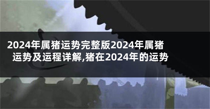 2024年属猪运势完整版2024年属猪运势及运程详解,猪在2024年的运势