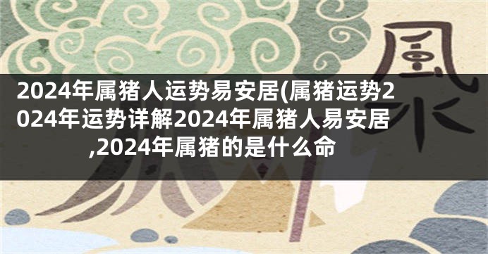 2024年属猪人运势易安居(属猪运势2024年运势详解2024年属猪人易安居,2024年属猪的是什么命