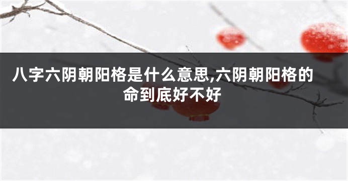 八字六阴朝阳格是什么意思,六阴朝阳格的命到底好不好