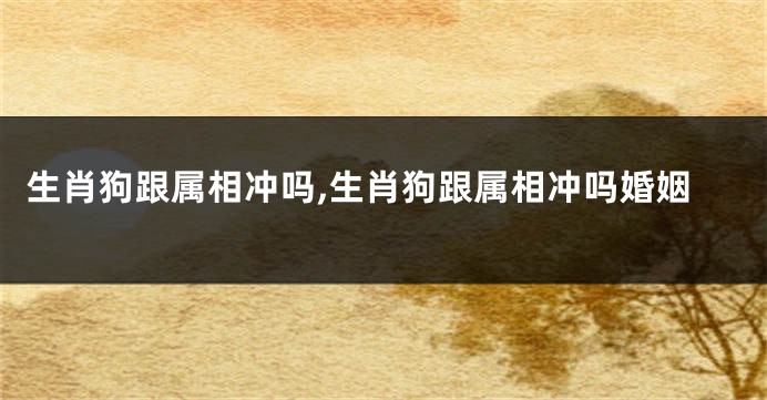 生肖狗跟属相冲吗,生肖狗跟属相冲吗婚姻