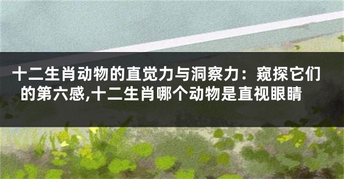 十二生肖动物的直觉力与洞察力：窥探它们的第六感,十二生肖哪个动物是直视眼睛