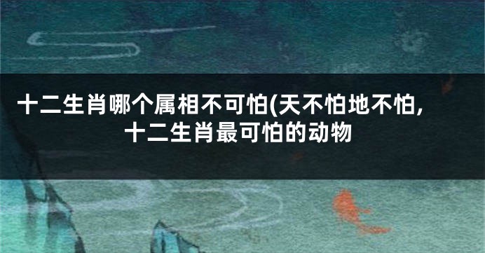 十二生肖哪个属相不可怕(天不怕地不怕,十二生肖最可怕的动物