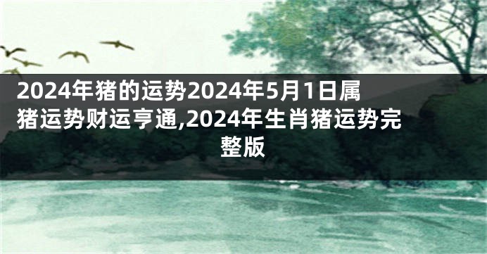 2024年猪的运势2024年5月1日属猪运势财运亨通,2024年生肖猪运势完整版
