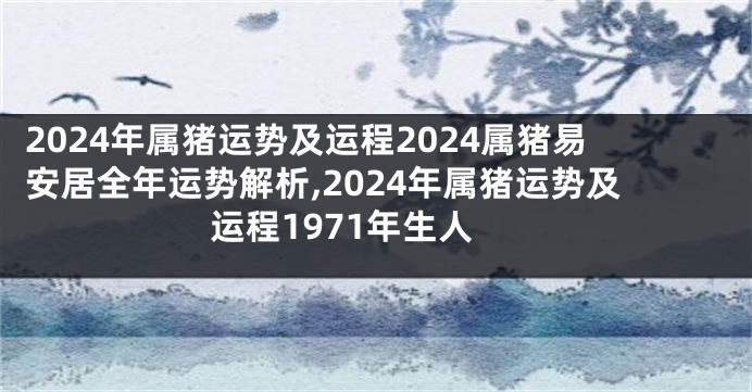 2024年属猪运势及运程2024属猪易安居全年运势解析,2024年属猪运势及运程1971年生人