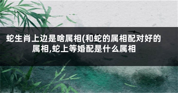 蛇生肖上边是啥属相(和蛇的属相配对好的属相,蛇上等婚配是什么属相