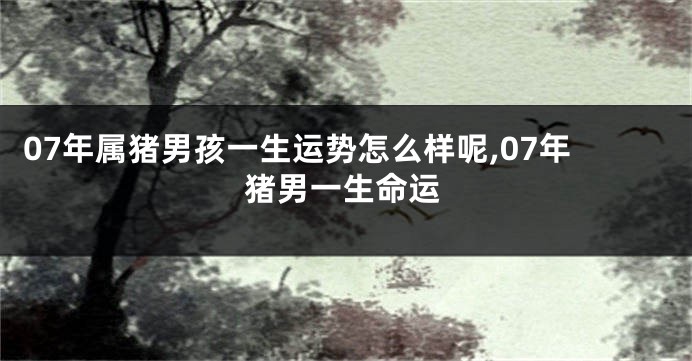 07年属猪男孩一生运势怎么样呢,07年猪男一生命运