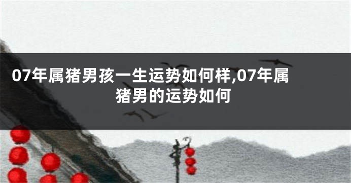 07年属猪男孩一生运势如何样,07年属猪男的运势如何
