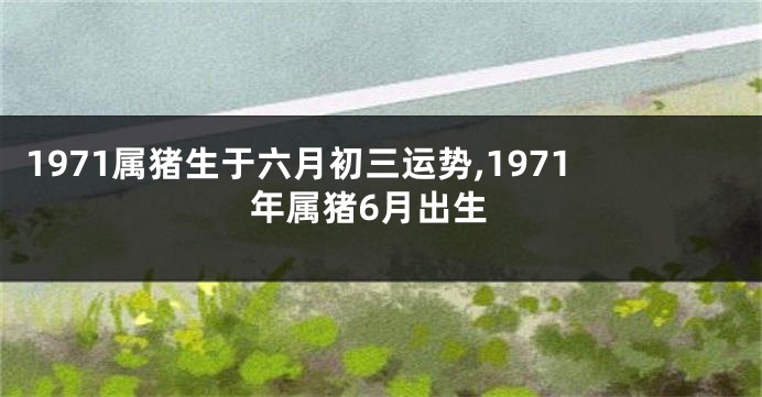 1971属猪生于六月初三运势,1971年属猪6月出生