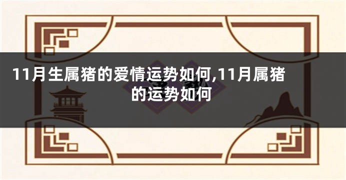 11月生属猪的爱情运势如何,11月属猪的运势如何
