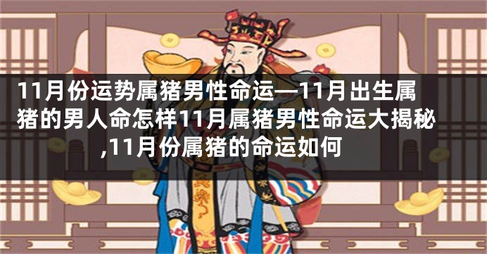 11月份运势属猪男性命运—11月出生属猪的男人命怎样11月属猪男性命运大揭秘,11月份属猪的命运如何