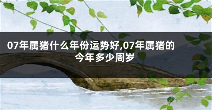 07年属猪什么年份运势好,07年属猪的今年多少周岁