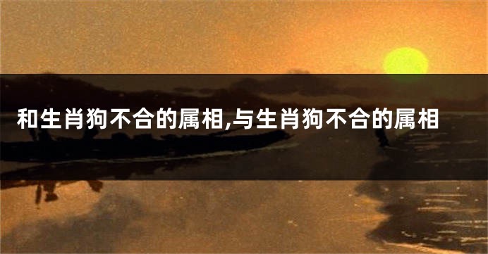 和生肖狗不合的属相,与生肖狗不合的属相