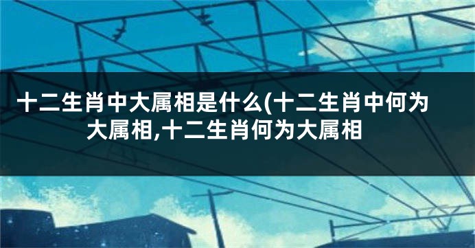 十二生肖中大属相是什么(十二生肖中何为大属相,十二生肖何为大属相