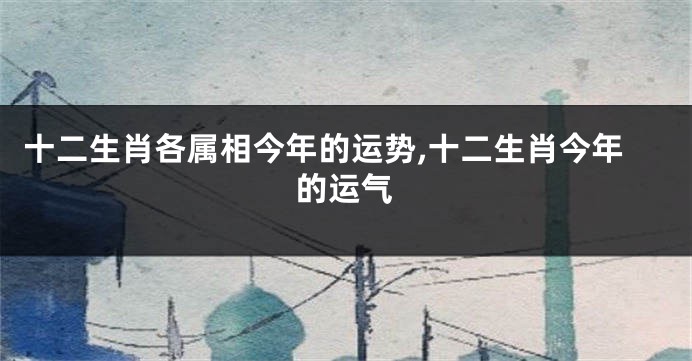 十二生肖各属相今年的运势,十二生肖今年的运气