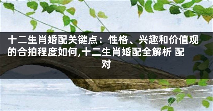 十二生肖婚配关键点：性格、兴趣和价值观的合拍程度如何,十二生肖婚配全解析 配对