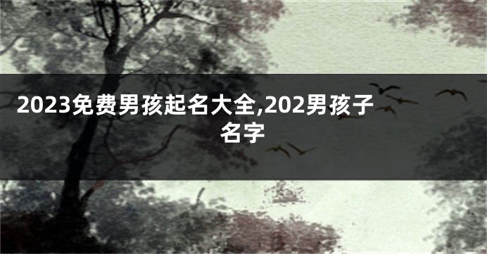 2023免费男孩起名大全,202男孩子名字