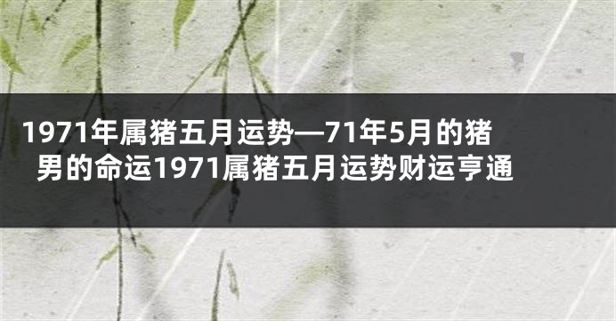 1971年属猪五月运势—71年5月的猪男的命运1971属猪五月运势财运亨通