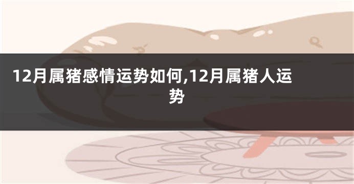 12月属猪感情运势如何,12月属猪人运势