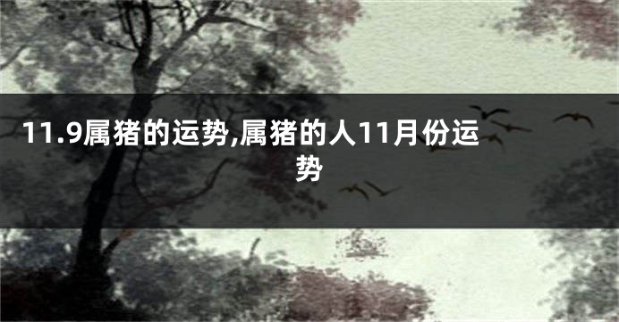 11.9属猪的运势,属猪的人11月份运势