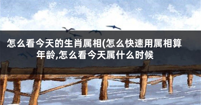 怎么看今天的生肖属相(怎么快速用属相算年龄,怎么看今天属什么时候