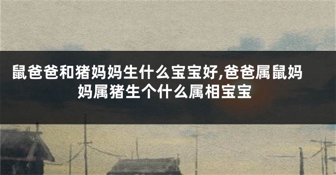 鼠爸爸和猪妈妈生什么宝宝好,爸爸属鼠妈妈属猪生个什么属相宝宝