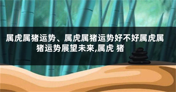 属虎属猪运势、属虎属猪运势好不好属虎属猪运势展望未来,属虎 猪