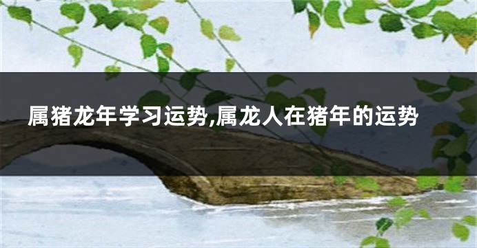 属猪龙年学习运势,属龙人在猪年的运势
