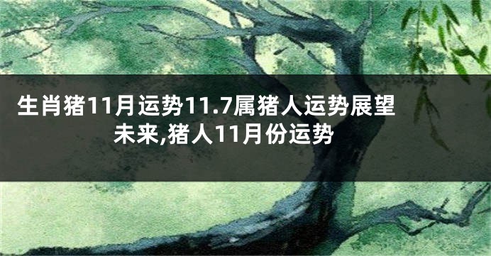 生肖猪11月运势11.7属猪人运势展望未来,猪人11月份运势