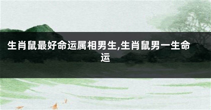 生肖鼠最好命运属相男生,生肖鼠男一生命运