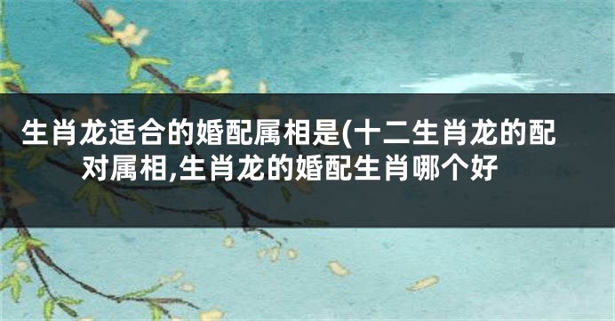 生肖龙适合的婚配属相是(十二生肖龙的配对属相,生肖龙的婚配生肖哪个好