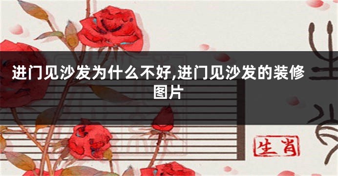 进门见沙发为什么不好,进门见沙发的装修图片