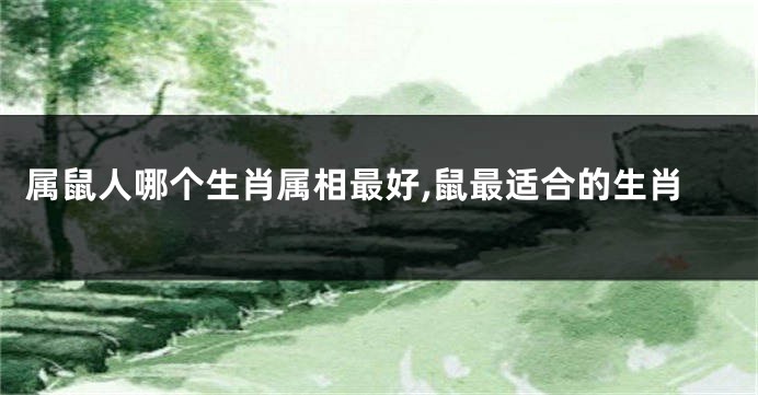 属鼠人哪个生肖属相最好,鼠最适合的生肖