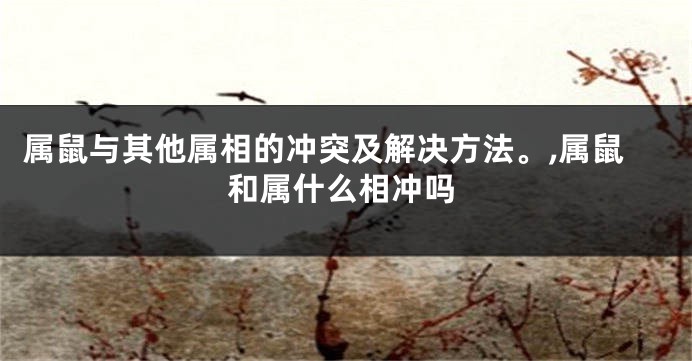 属鼠与其他属相的冲突及解决方法。,属鼠和属什么相冲吗