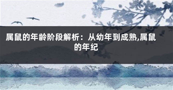 属鼠的年龄阶段解析：从幼年到成熟,属鼠的年纪