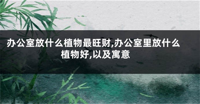 办公室放什么植物最旺财,办公室里放什么植物好,以及寓意