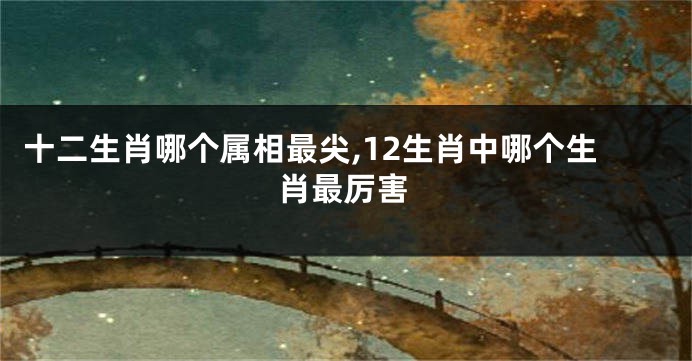 十二生肖哪个属相最尖,12生肖中哪个生肖最厉害